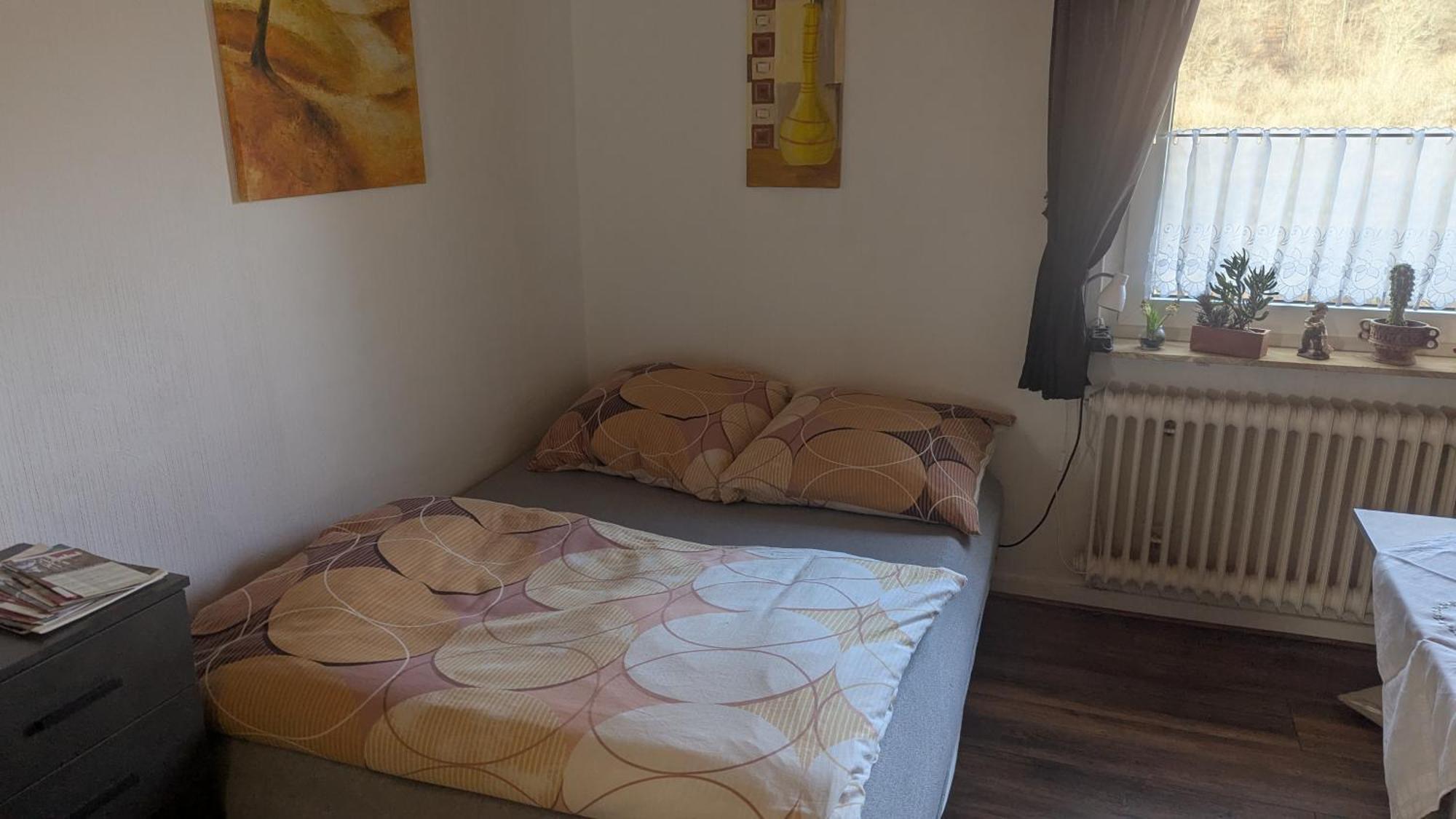 Ferienwohnung Mit Terrasse Fuer 1-4 Personen Altena Buitenkant foto